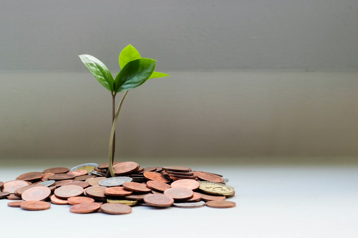 ‘It Was Good to Lay It All Out’: The Case for Meeting a Financial Advisor You May Not Hire
