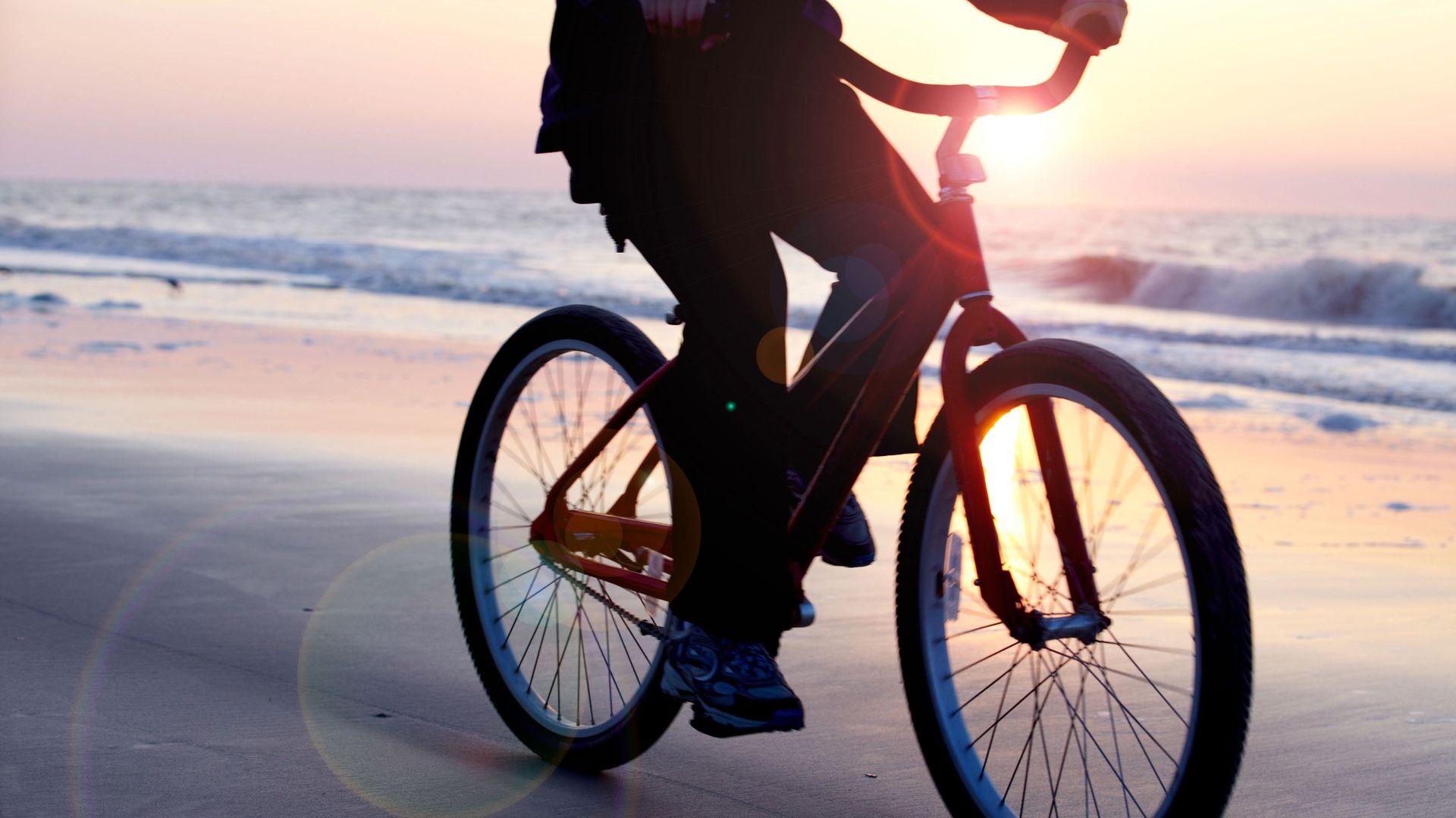Should You Move to South Carolina or Just Vacation There?
